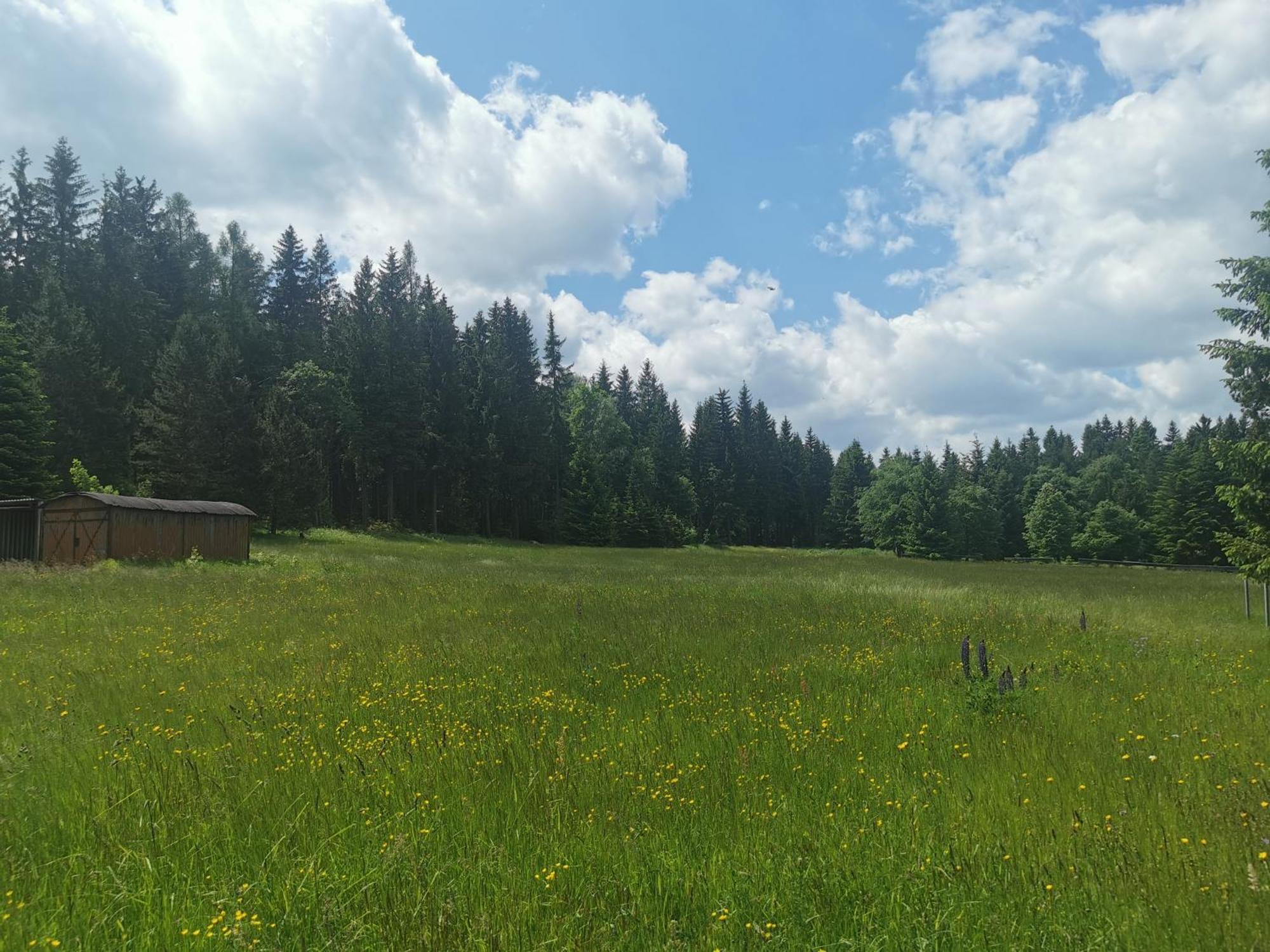 Berghaus Am Felsbruch Oberwiesenthal Ot Hammerunterwiesenthal 외부 사진