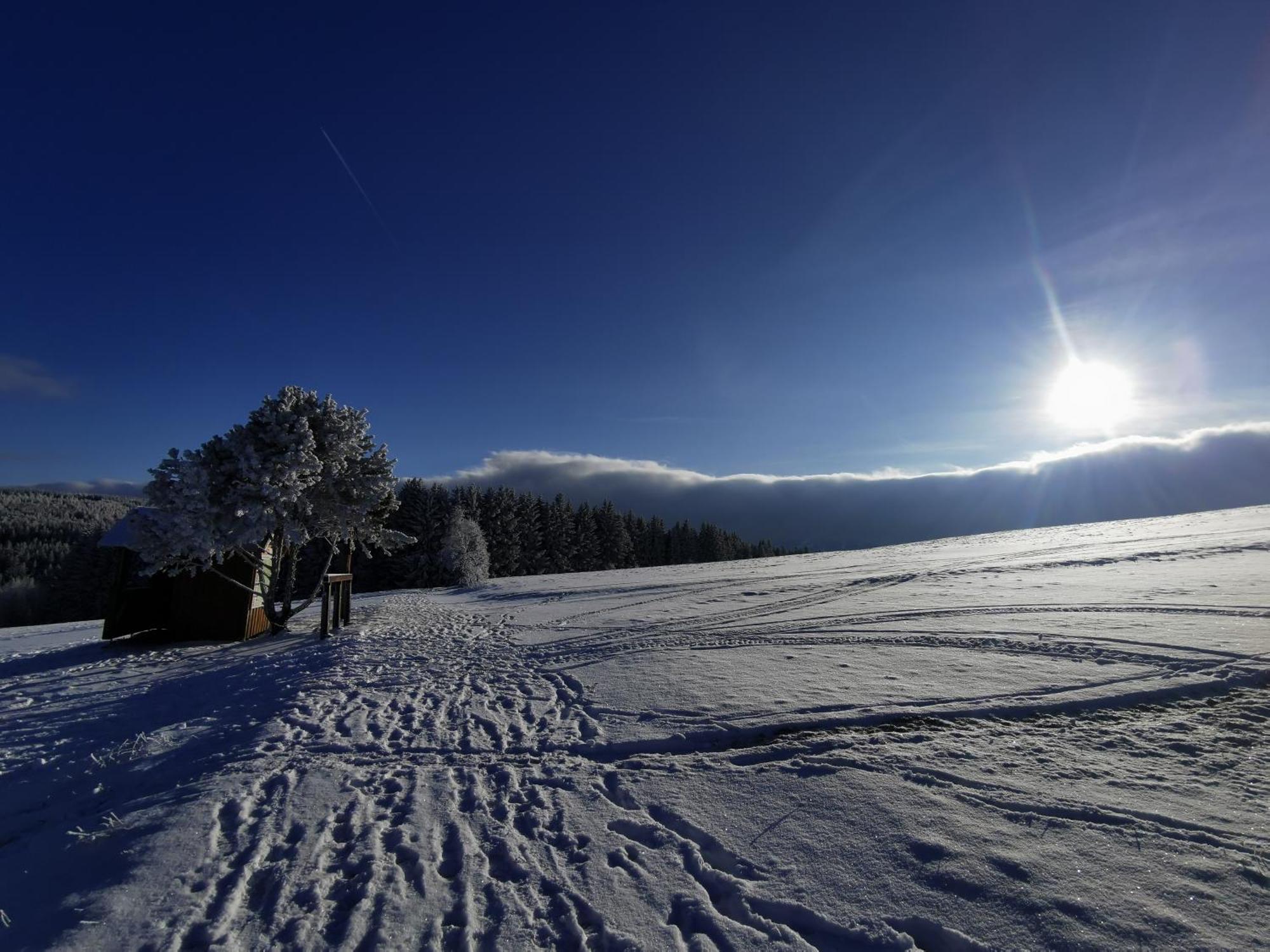 Berghaus Am Felsbruch Oberwiesenthal Ot Hammerunterwiesenthal 외부 사진